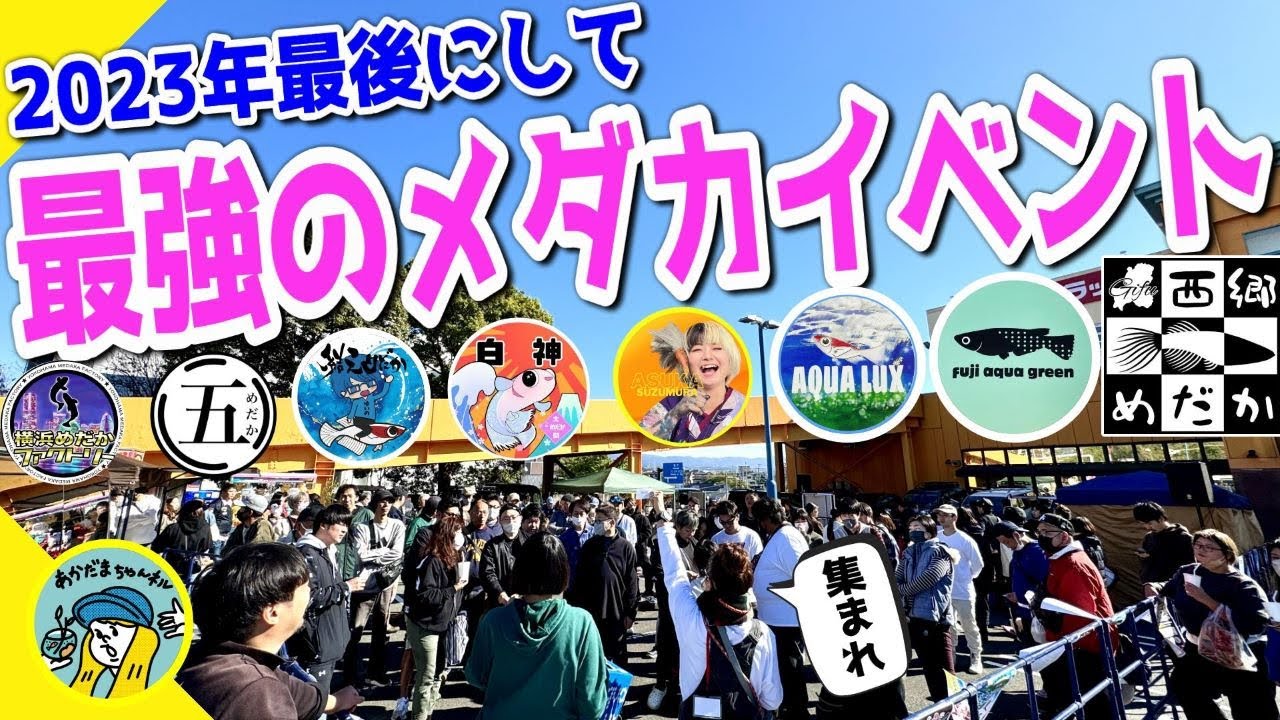 【めだか】オープン前から大行列のメダカイベント（超有名めだか屋さん大集合のメダカ祭りは超大盛況！）