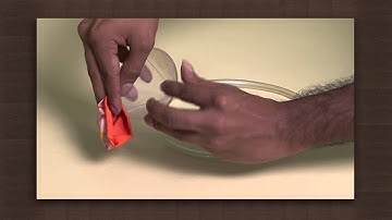 Stethoscope | Circulation | Biology