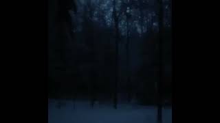 Dark Snowy Night By Daniel