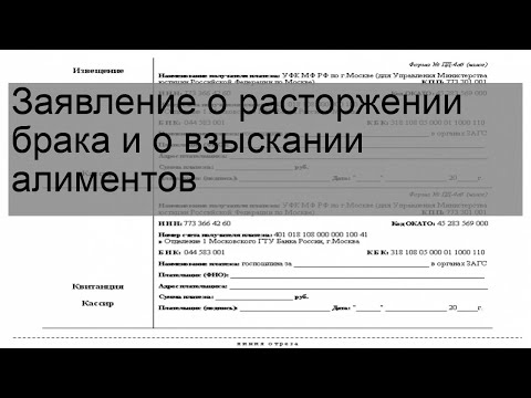 Заявление о расторжении брака и о взыскании алиментов