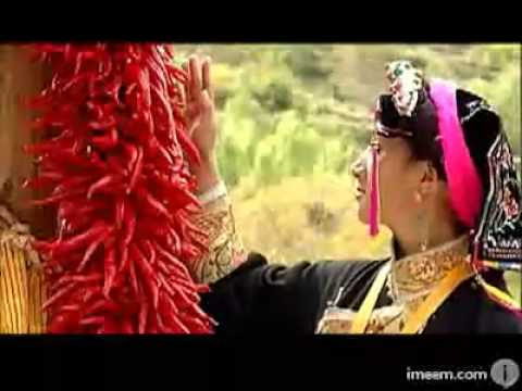 Tibetan Culture flourishing (Dronpe) #413