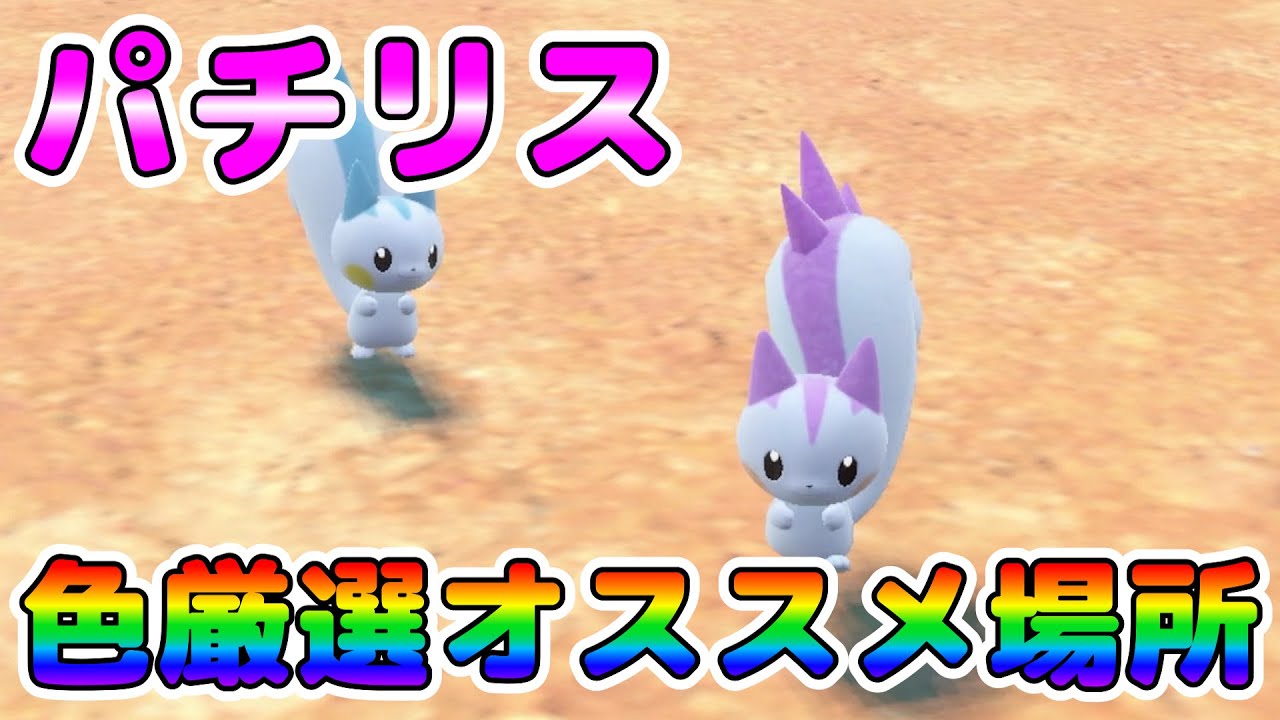 ポケモンキッズ　パチリス　色違い Color Selection] Recommended locations for selecting Pachirisu's