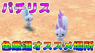 Color Selection] Recommended locations for selecting Pachirisu's