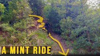 Pretty full on Shute ! | MTB Toowoomba