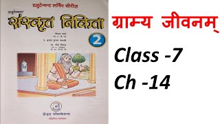 Sanskrit Nikita | Class 7 | Chapter 14 | GramyaJeevnam | ग्राम्य जीवनम् |Hindi Anuvad Solved Book Ex