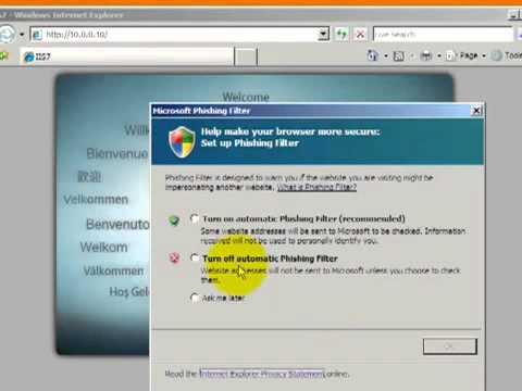 DNS and Web server configuration on windows server 2008
