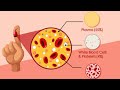Biology Human System #Circulatory system #Blood-II#CDS/CAPF/AFCAT