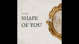 Shape Of You