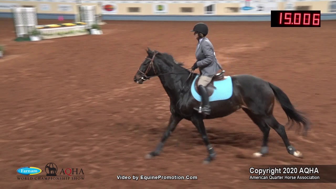 2020 AQHA Select Jumping