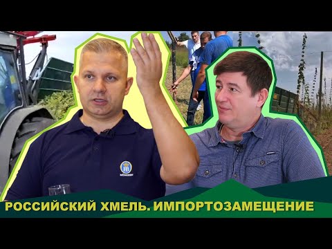 Импортозамещение хмеля в России. Александр Иджон | Сергей Матвеев