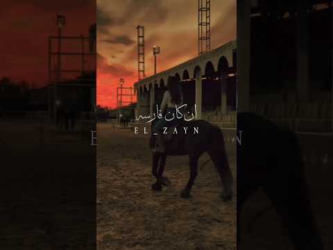 روحو قلولو ان كان نساي المراه اكسبلور