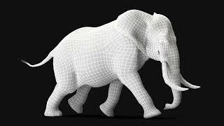 Animated Elephant Running Fur Rigged | 3D Molier International