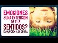 3 Trucos Psicológicos Que Puedes Usar A Tu Favor Para Controlar Situaciones