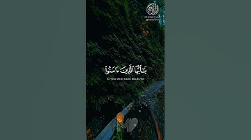 إن الله وملائكته يصلون على النبي || بصوت القارئ عبدالرحمن مسعد || #ذكر #holy_quran512