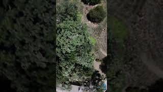 Cinematic freestyle with the DJI o4 lite #fpv #fpvfreestyle #djio4