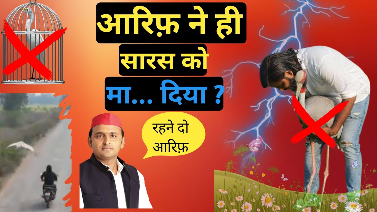 Dosti Ki Misaal || Aarif Aur Saaras Ki Kahani || Aarif Aur Saras ||