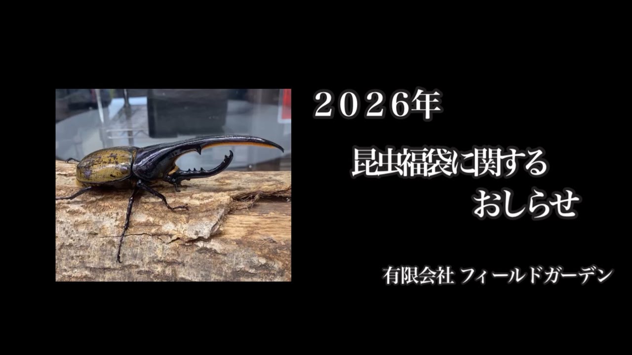 Notice] Regarding the 2026 Insect Lucky Bag - YouTube