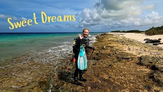 Download Lagu Tips en trucs voor duiken vanaf de kust van Bonaire - Sweet Dreams MP3