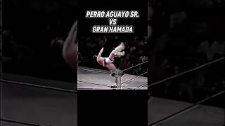 PERRO AGUAYO VS GRAN HAMADA
