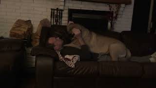 IMG 0619