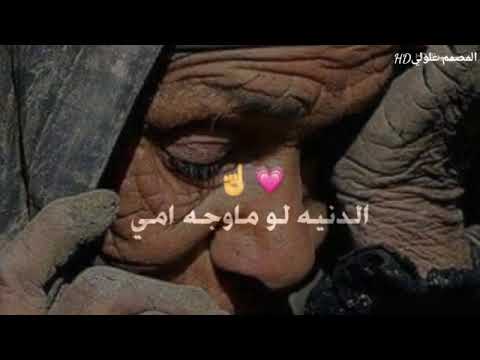 امي خير ونعمت الله سيد فاقد الموسوي زينبيه الهوئ لايك وشتراك حته استمر