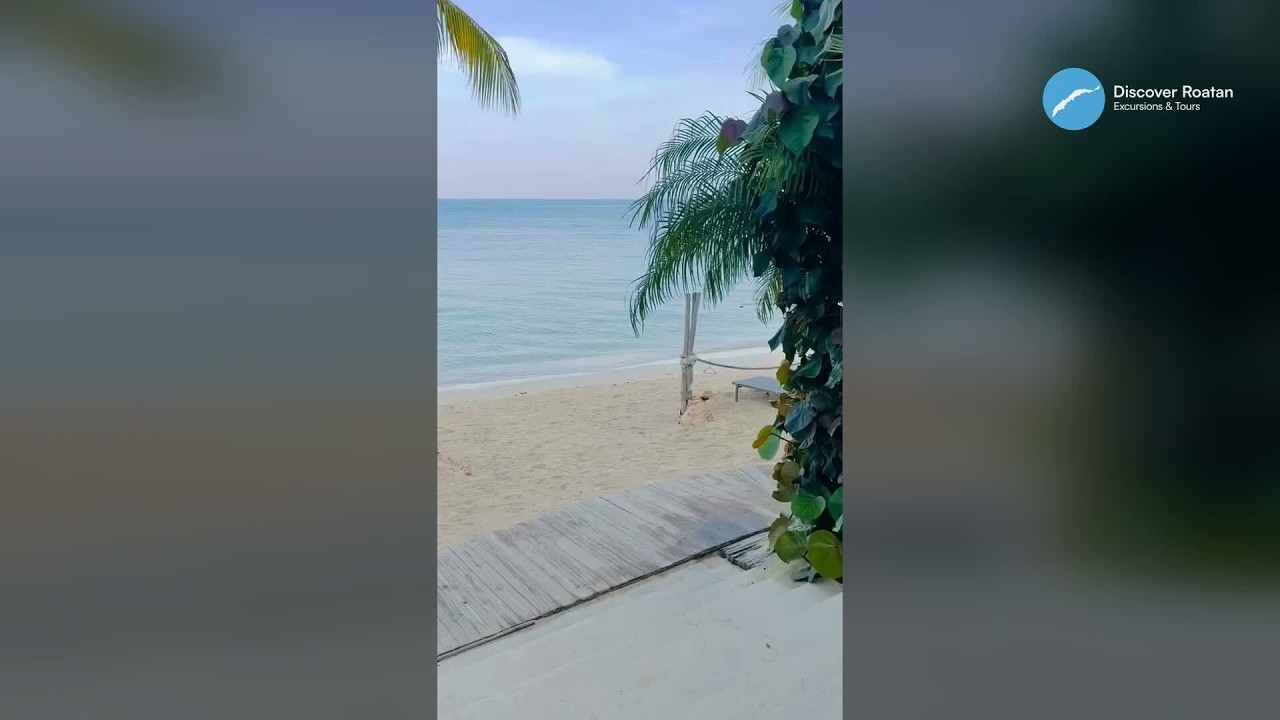 West Bay Beach, Roatán Honduras — Your Cruise Port Day in 18 Seconds | Discover Roatan™