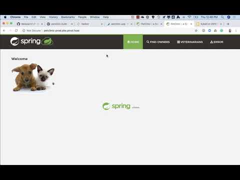 Demo: Scaling Delivery to PKS Multi-clusters with Concourse and Spinnaker