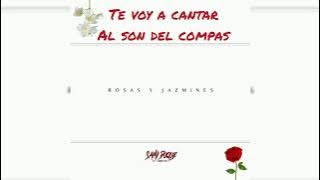 Rosas Y Jazmines (LETRA) Sami Duque #rosasyjazminesletra