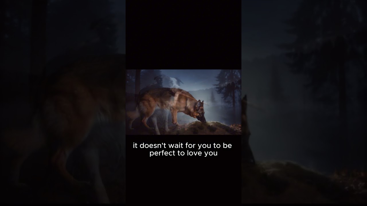 The Philosophy of a Dog: How to Be Happy by Wagging Your Tail - Part 4