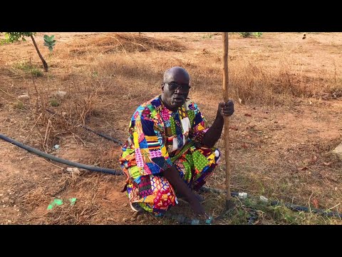 Wau Wau Collectif - Mouhamodou Lo and His Children (music video)