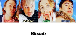 5SOS - Bleach (Color Coded Lyrics)