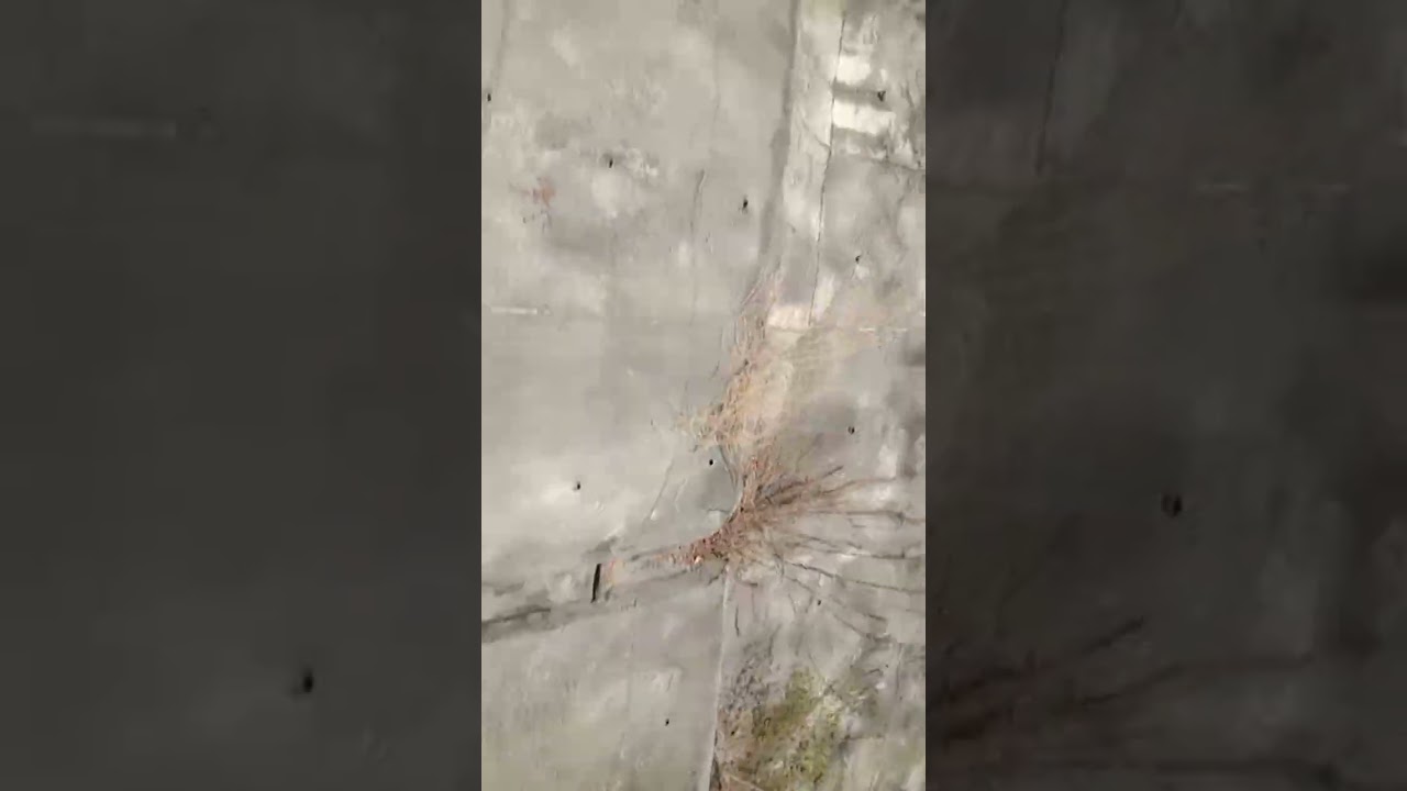 28 กุมภาพันธ์ ค.ศ. 2026