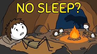 How did Ancient Humans Sleep at Night