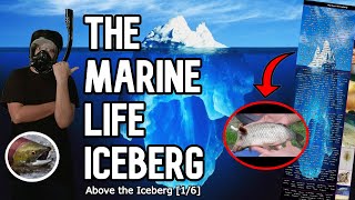 THE MARINE LIFE ICEBERG (above the iceberg) - part 1/6