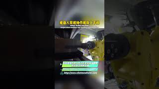 Robot dual-machine collaborative machine tool loading/unloading automated production line #chenxuan