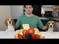 Cooking with beagles  fruit tart 