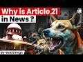 Why is Article 21 in News? | Supreme Court | Right to Life vs Stray Dogs | By Ankit Singh | StudyIQ