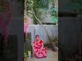 দাদা বৌদিকে ভয় পায় 🤣 #funny #comedy #tending #youtubeshorts