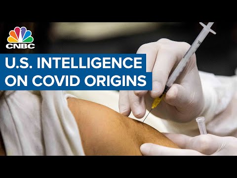 U.S. Intelligence: Origins of Covid-19 remain unclear, not a bio-weapon