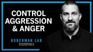 Famous Understanding & Controlling Aggression | Huberman Lab Essentials Wealth