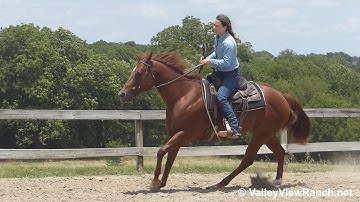 Clearly Intoxicated - jog, lope, stops! - ValleyViewRanch.net