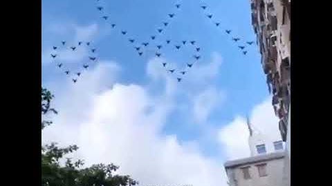 طيور تزين السماء بقلب الحب ♥️  القارئ محمد كمال سورة النازعات