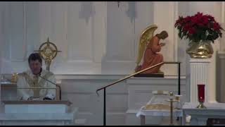 Saint Peter Damian: The Reformer Saint
