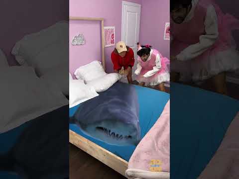 هجوم سمك القرش في سريري لقد كدت أموت