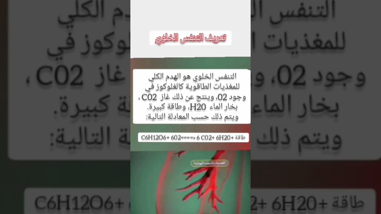 تعريف التنفس الخلوي