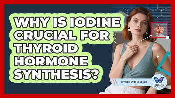 Why Is Iodine Crucial For Thyroid Hormone Synthesis? - Thyroid Wellness Hub
