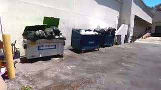 Dumpster Diving- We almost drove past it!