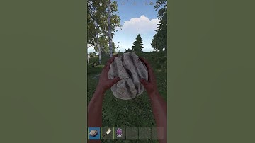 POV : Getting a Start on Rust...