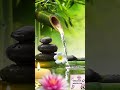 RELAXING NATURE VIBES 🌸💖✨ | STRESS RELIEF &amp; PEACEFUL MIND 🌈💖🌼