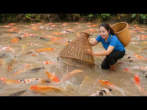 Harvesting Fresh Koi Fishes From Pond 🐟 Going To Countryside Market To Sell | Daily Garden